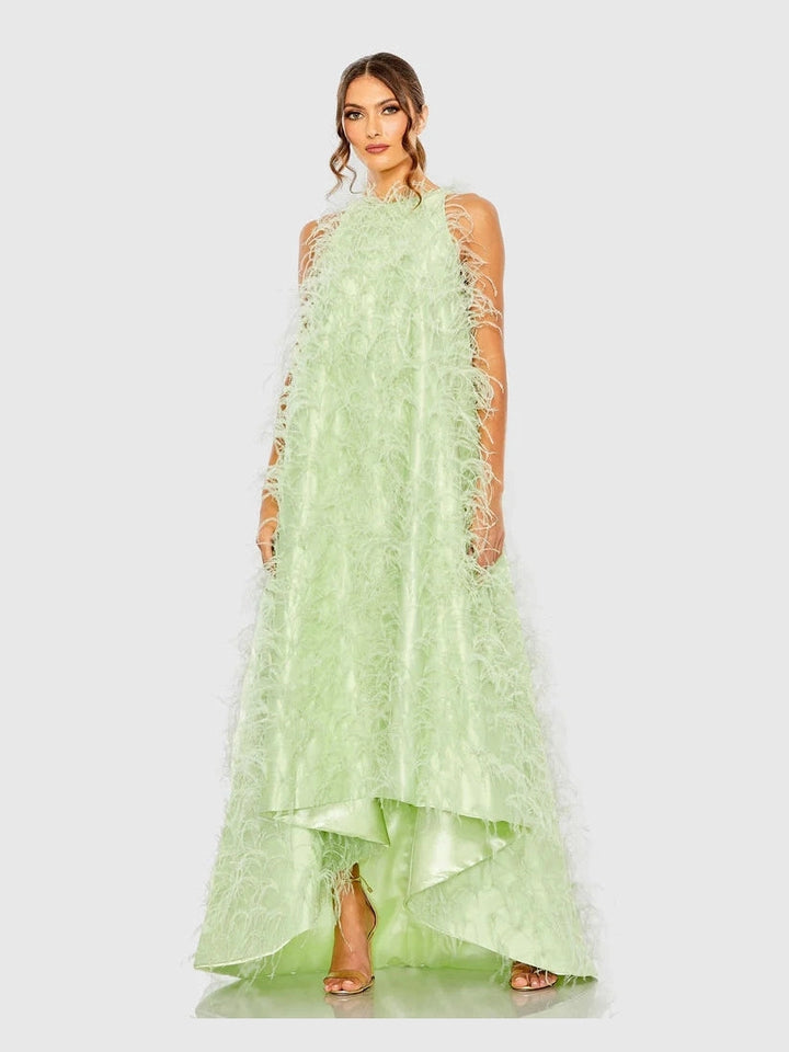 Sleeveless Feather Embellished Gown