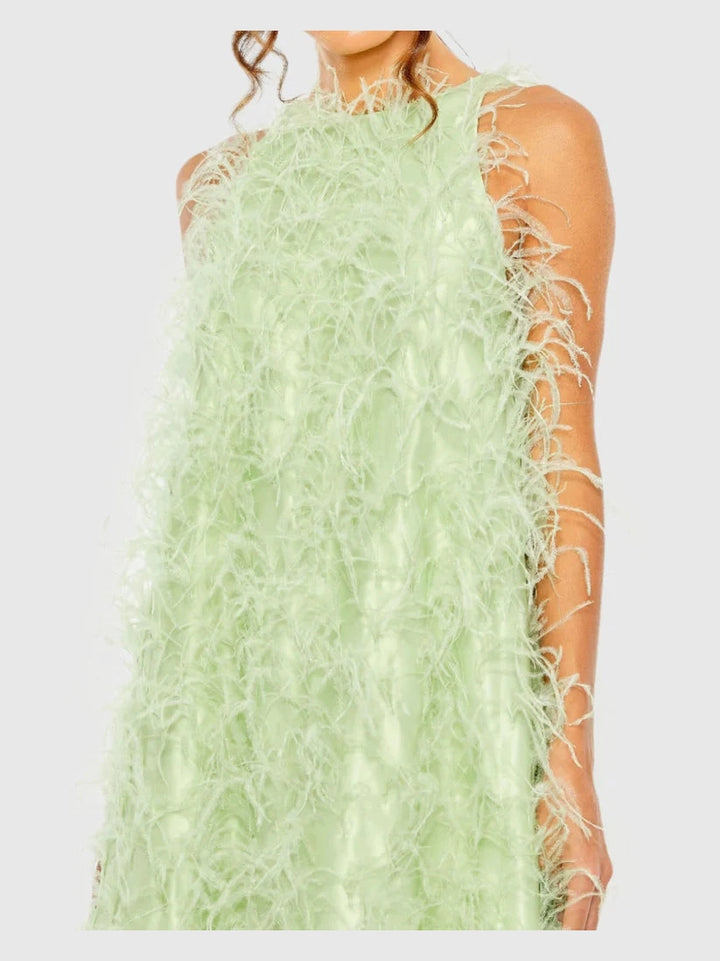 Sleeveless Feather Embellished Gown