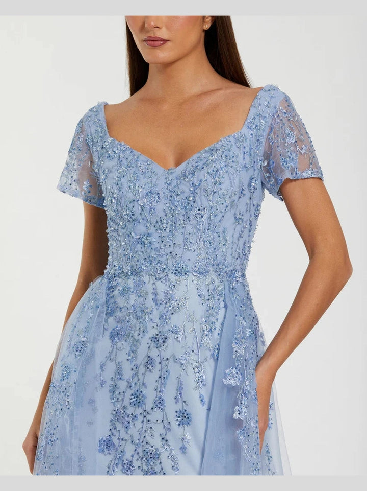 Cap Sleeve Beaded Embroidered Overskirt Gown