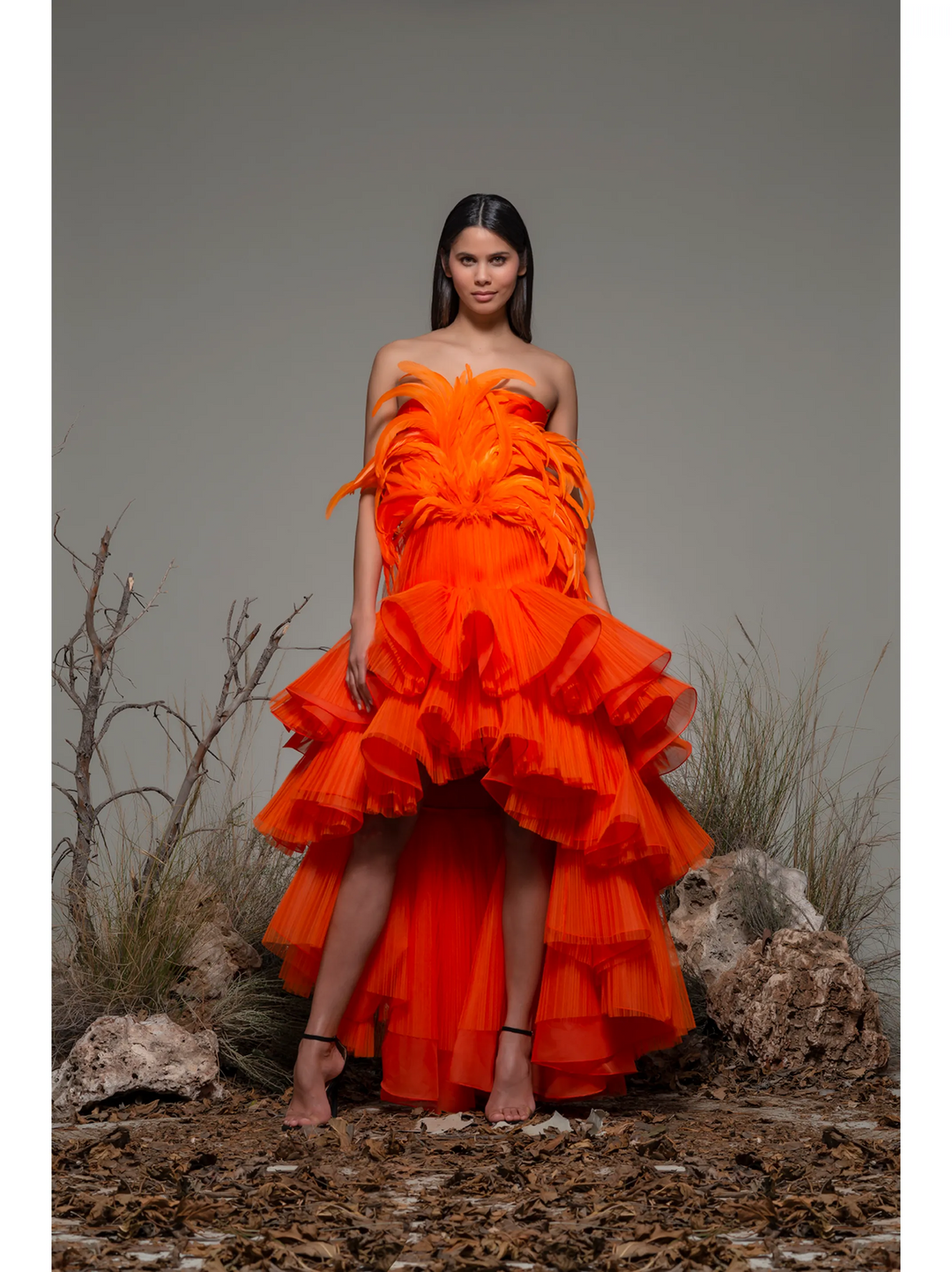 Bonito Feathered Tiered Gown