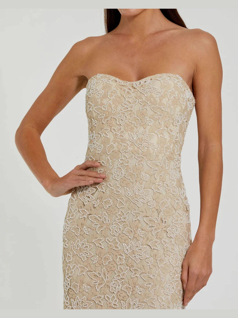 Strapless Beaded Lace Fitted Column Gown