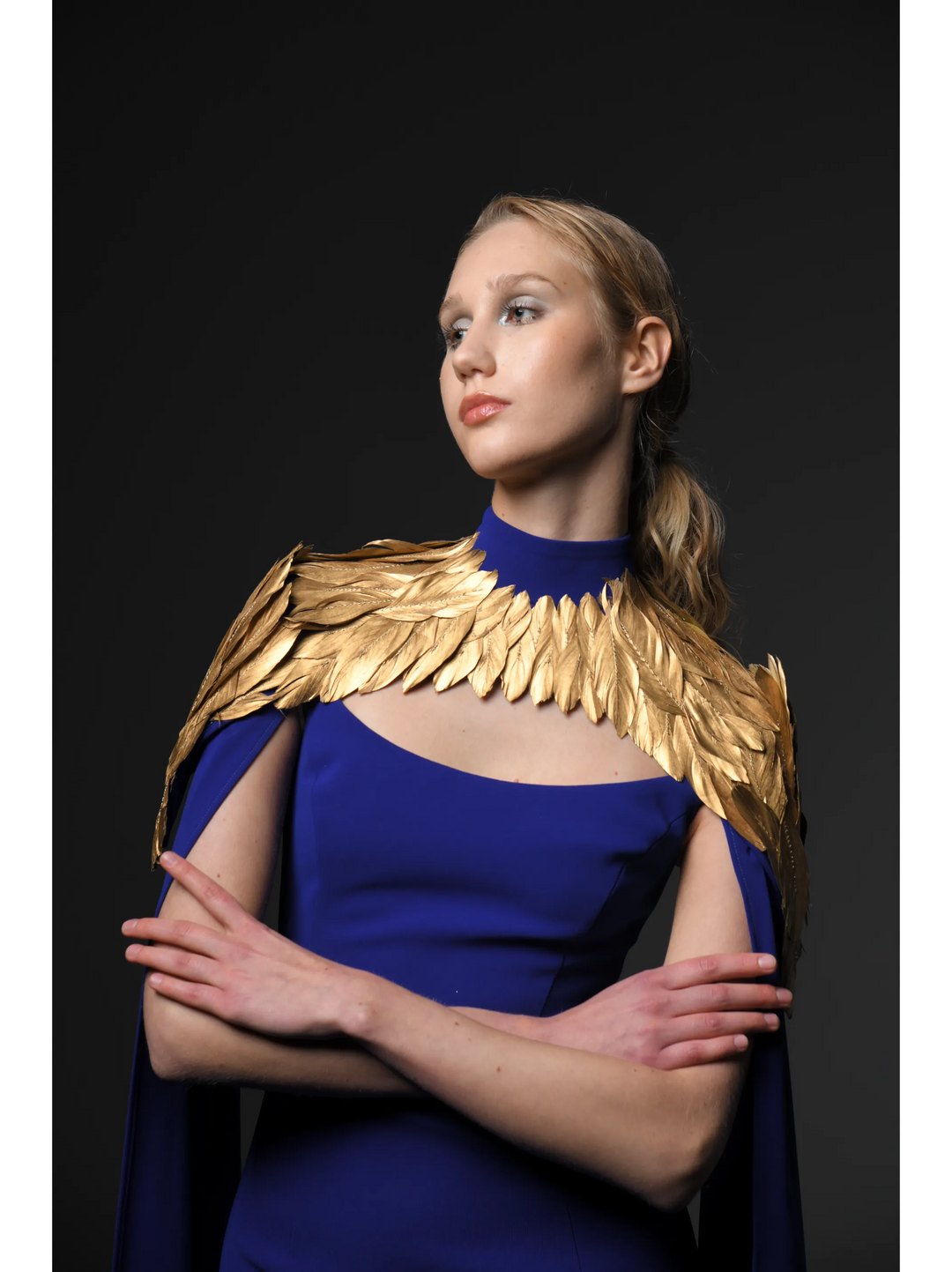 Crêpe Gown With Gold Feathers
