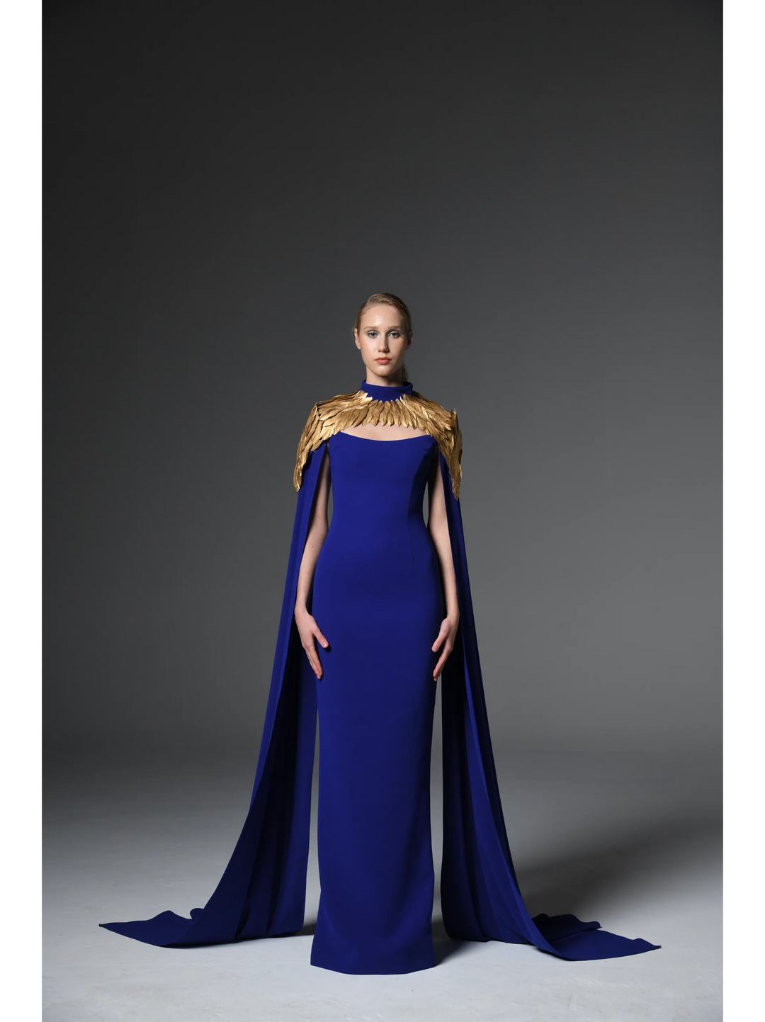 Crêpe Gown With Gold Feathers
