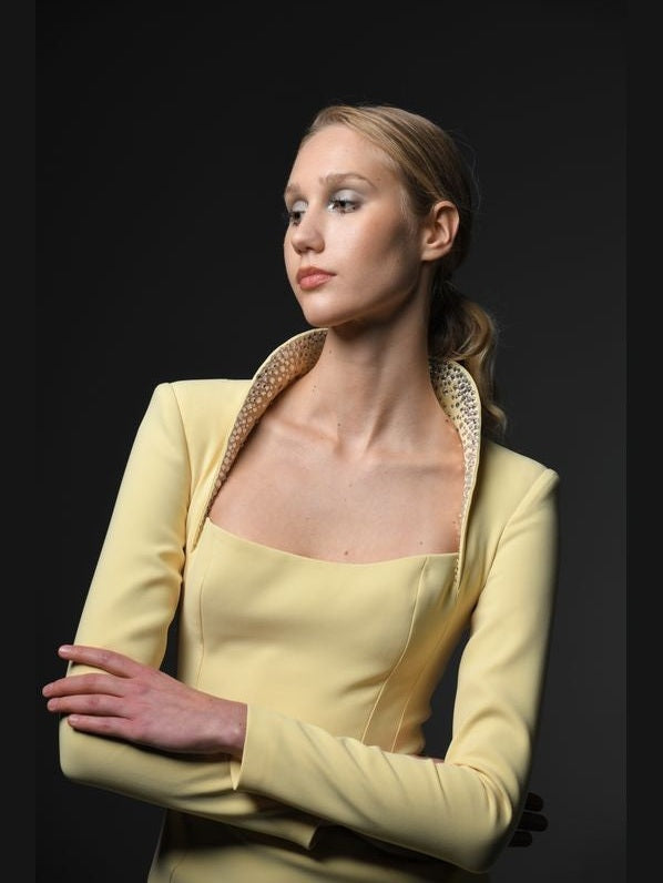 Embroidered Collar Crepe Dress