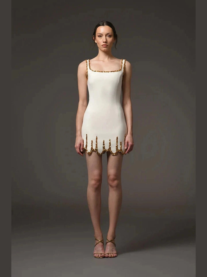 Ivory Mini Embroidered Dress