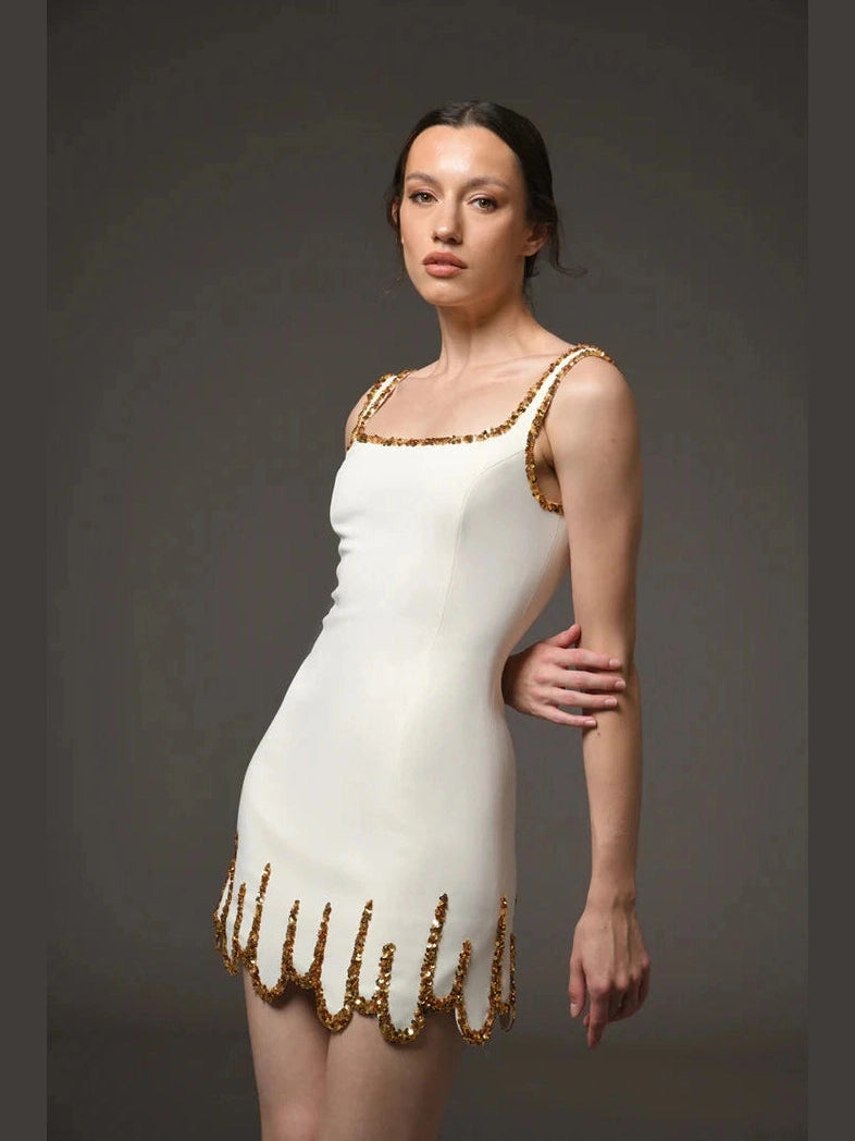 Ivory Mini Embroidered Dress