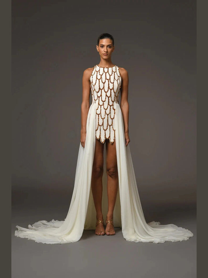 Mini Embroidered Dress with Chiffon Overskirt