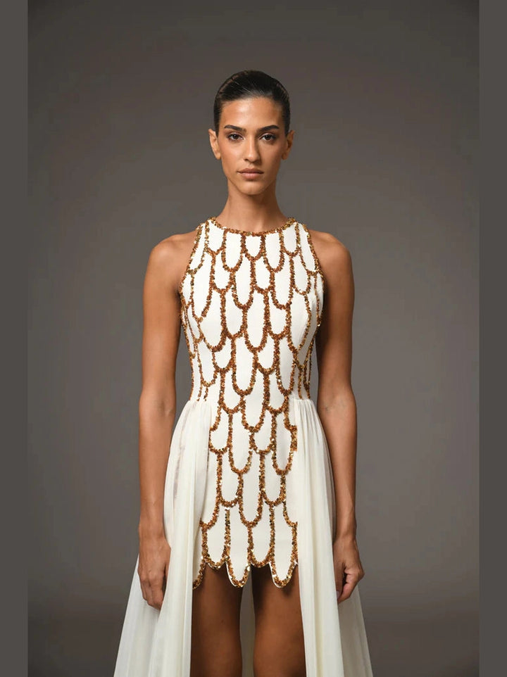 Mini Embroidered Dress with Chiffon Overskirt