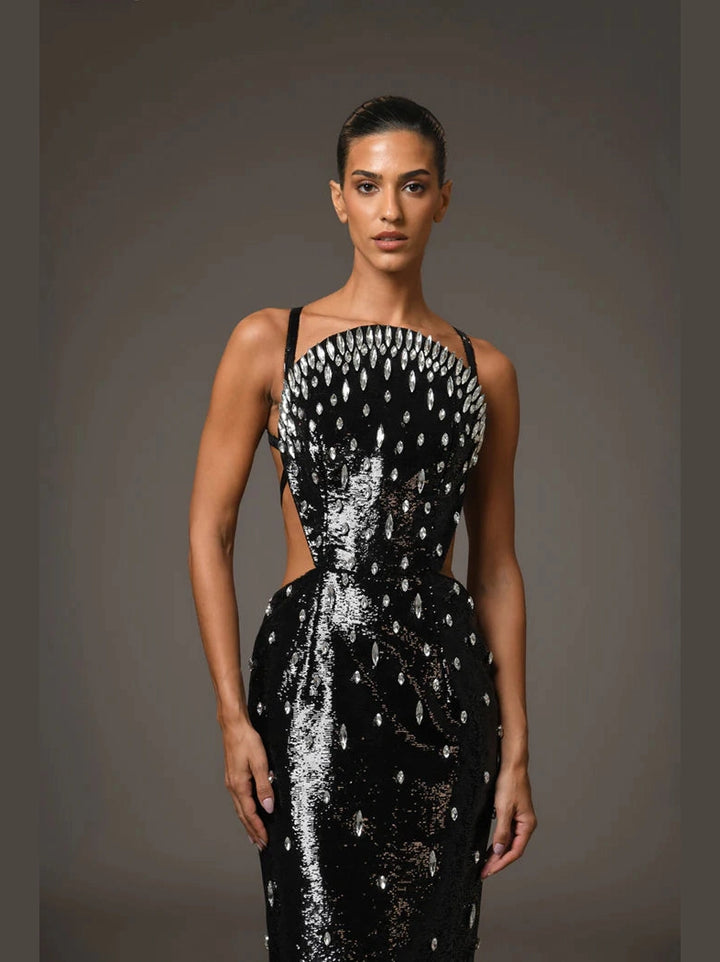 Embroidered Sequin Dress