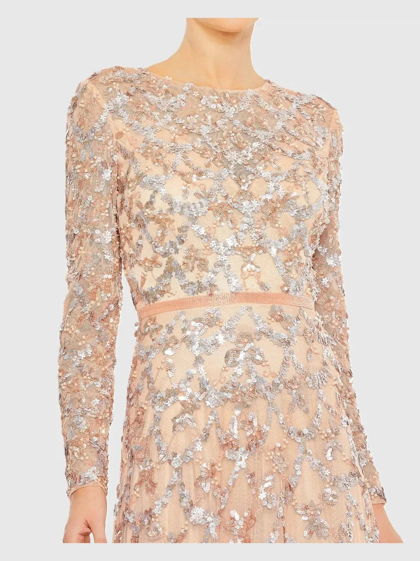 Embellished Illusion High Neck Long Sleeve A Line Gown