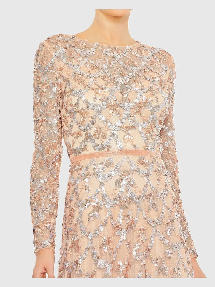 Embellished Illusion High Neck Long Sleeve A Line Gown