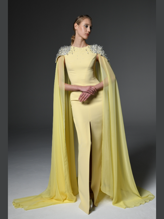 Chiffon Cape Embroidred Dress