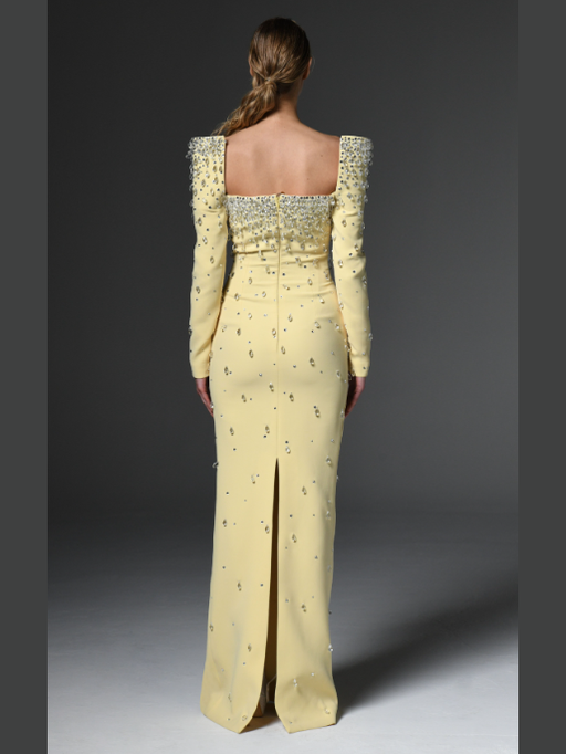 Structured Sleeves Embroidred Dress