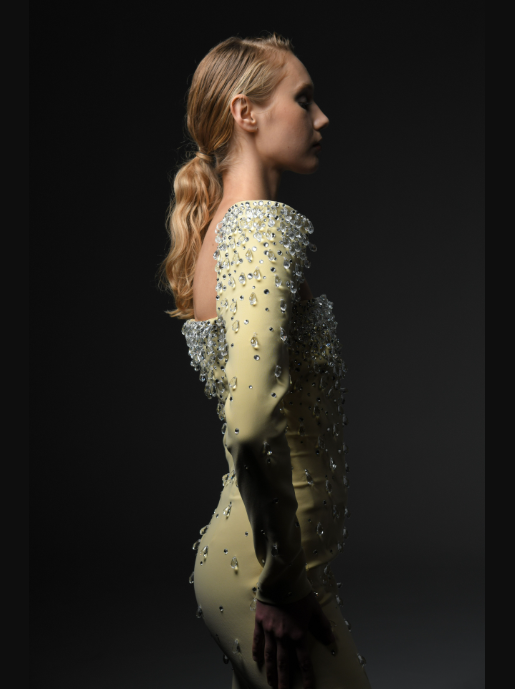 Structured Sleeves Embroidred Dress