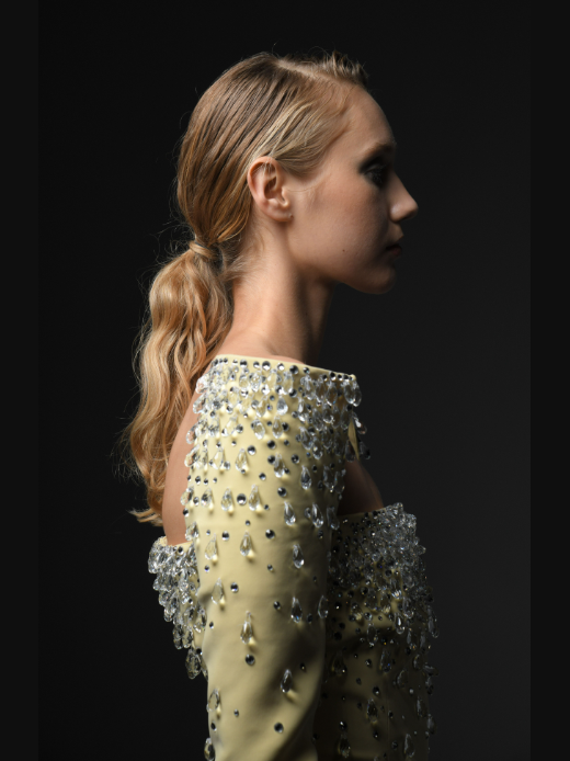 Structured Sleeves Embroidred Dress