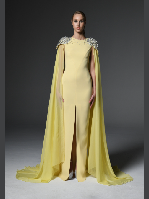 Chiffon Cape Embroidred Dress