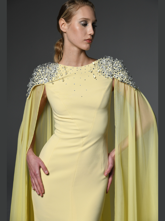 Chiffon Cape Embroidred Dress