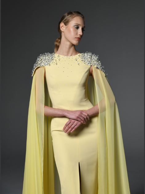 Chiffon Cape Embroidred Dress