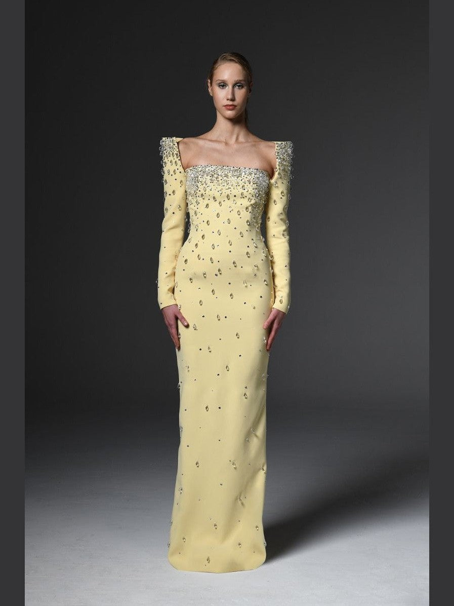 Structured Sleeves Embroidred Dress