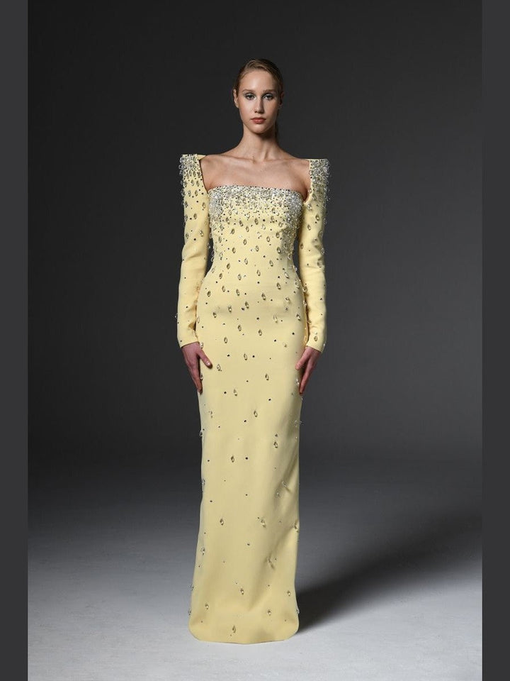 Structured Sleeves Embroidred Dress