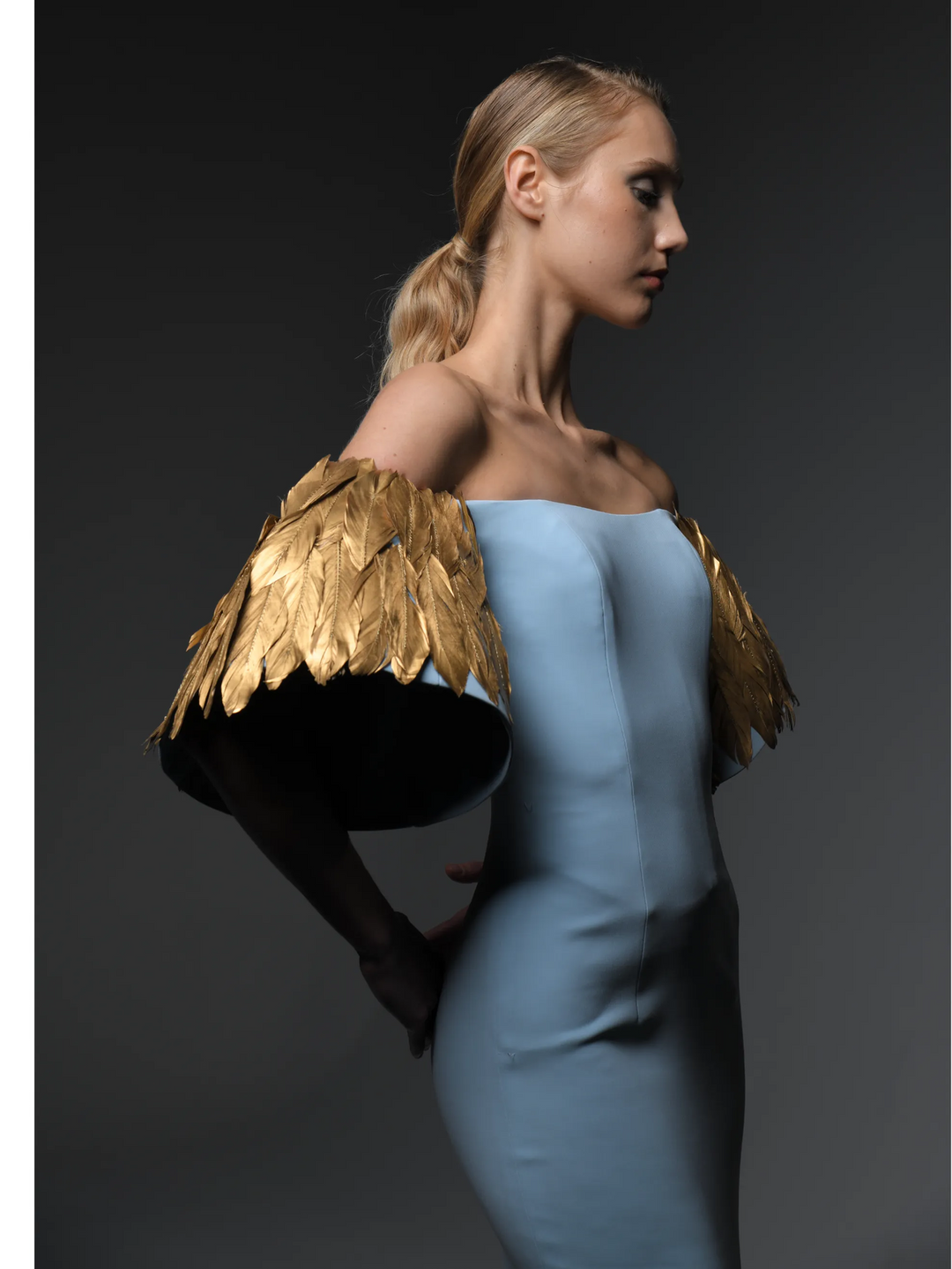 Crêpe Gown With Feathers On Sleeves