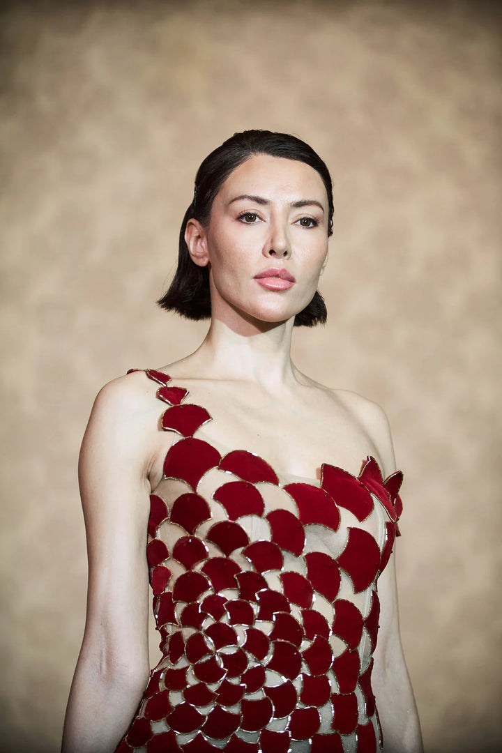A-line sheer tulle dress with red velvet fabric cuts