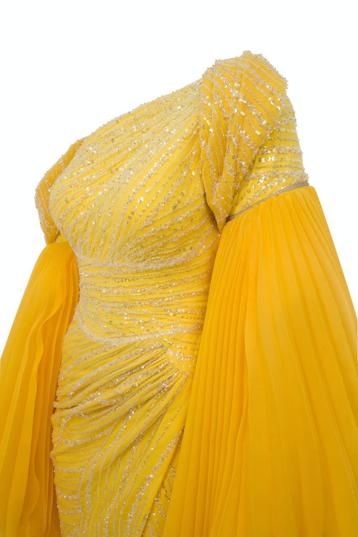 Payet Organza Gown