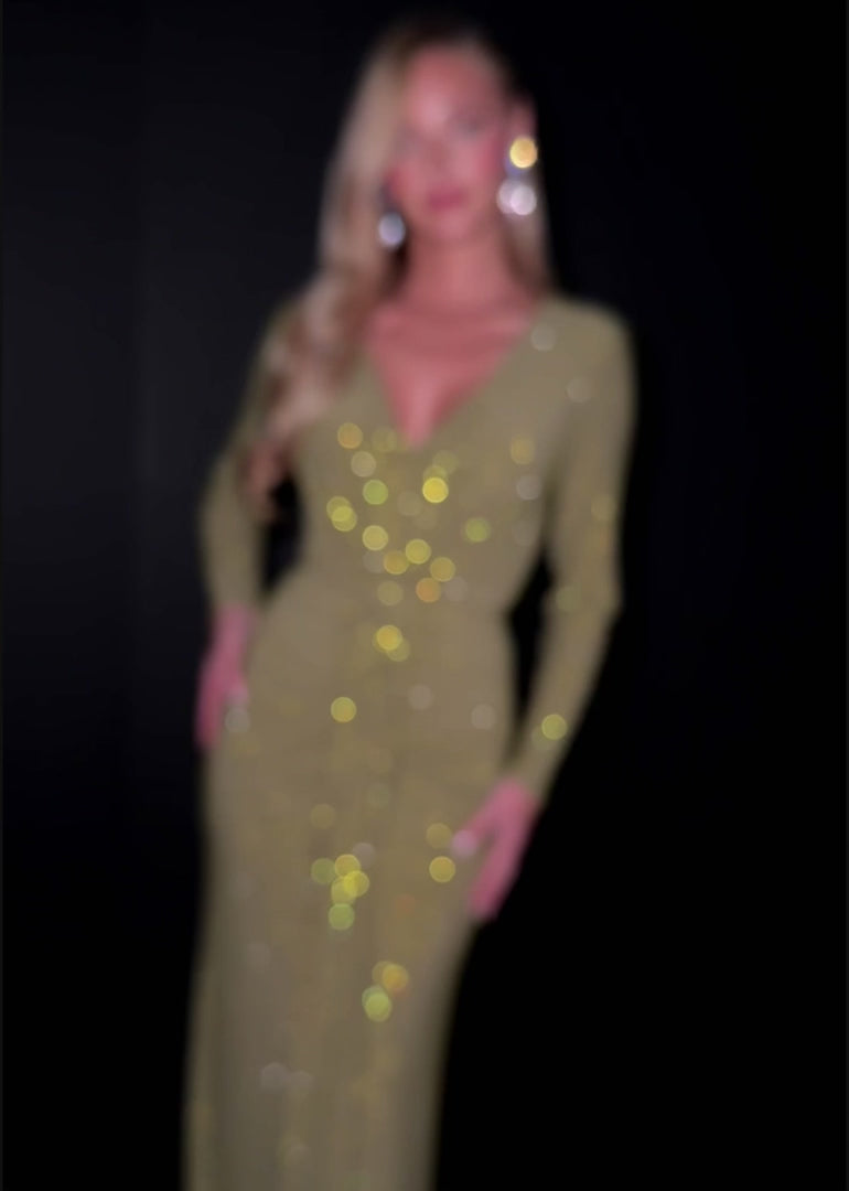 Long Sleeve Gown with V-Neckline